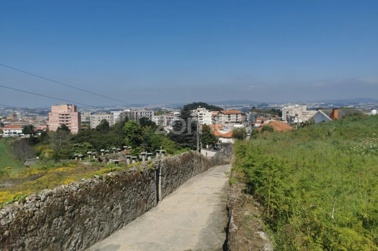 Terreno para Venda em Oliveira do Douro Foto 42