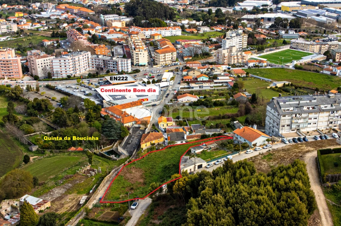 Terreno para Venda em Oliveira do Douro Foto 8