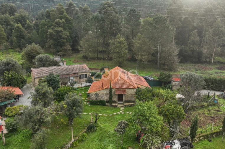 Quinta T5 para Venda em Seara Foto 6