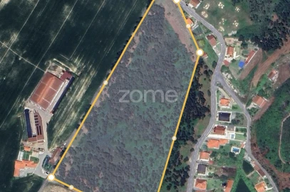 Terreno para Venda em Vila de Punhe