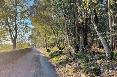 Terreno para Venda em Vila de Punhe