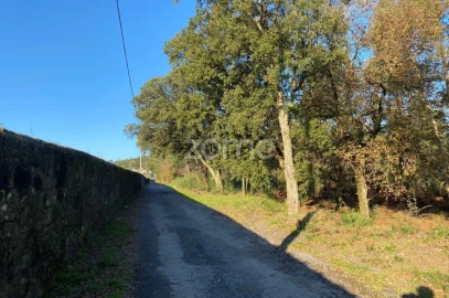 Terreno para Venda em Vila de Punhe