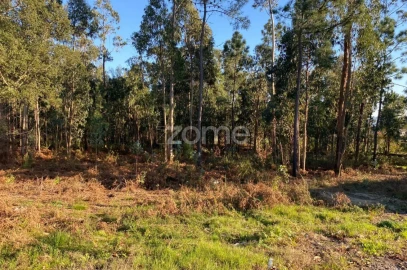 Terreno para Venda em Vila de Punhe