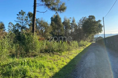 Terreno para Venda em Vila de Punhe