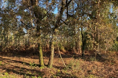 Terreno para Venda em Vila de Punhe