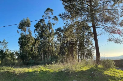 Terreno para Venda em Vila de Punhe