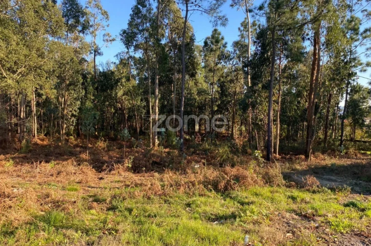 Terreno para Venda em Vila de Punhe Foto 8