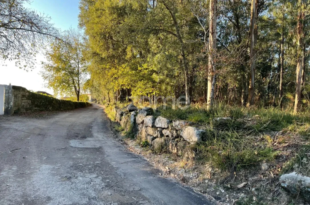 Terreno para Venda em Vila de Punhe Foto 1