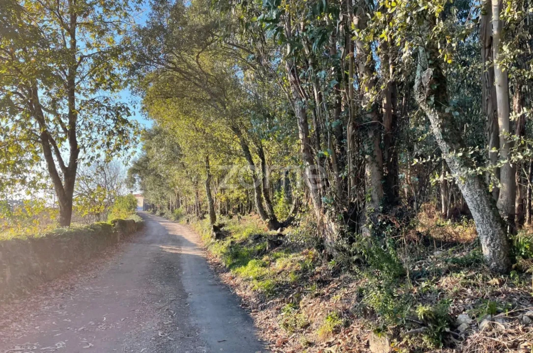 Terreno para Venda em Vila de Punhe Foto 4