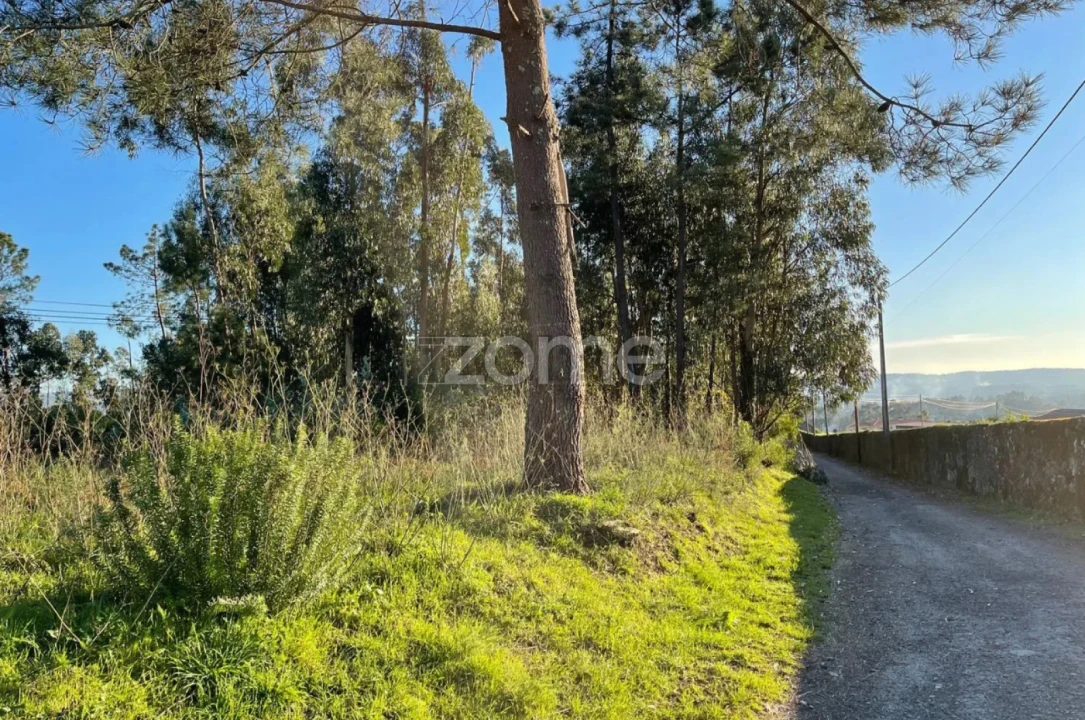 Terreno para Venda em Vila de Punhe Foto 5