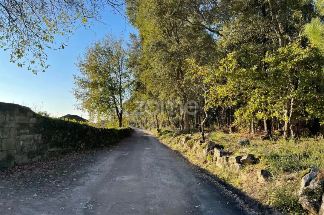 Terreno para Venda em Vila de Punhe Foto 12