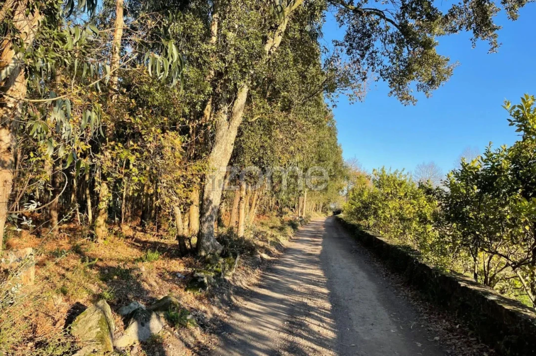 Terreno para Venda em Vila de Punhe Foto 15