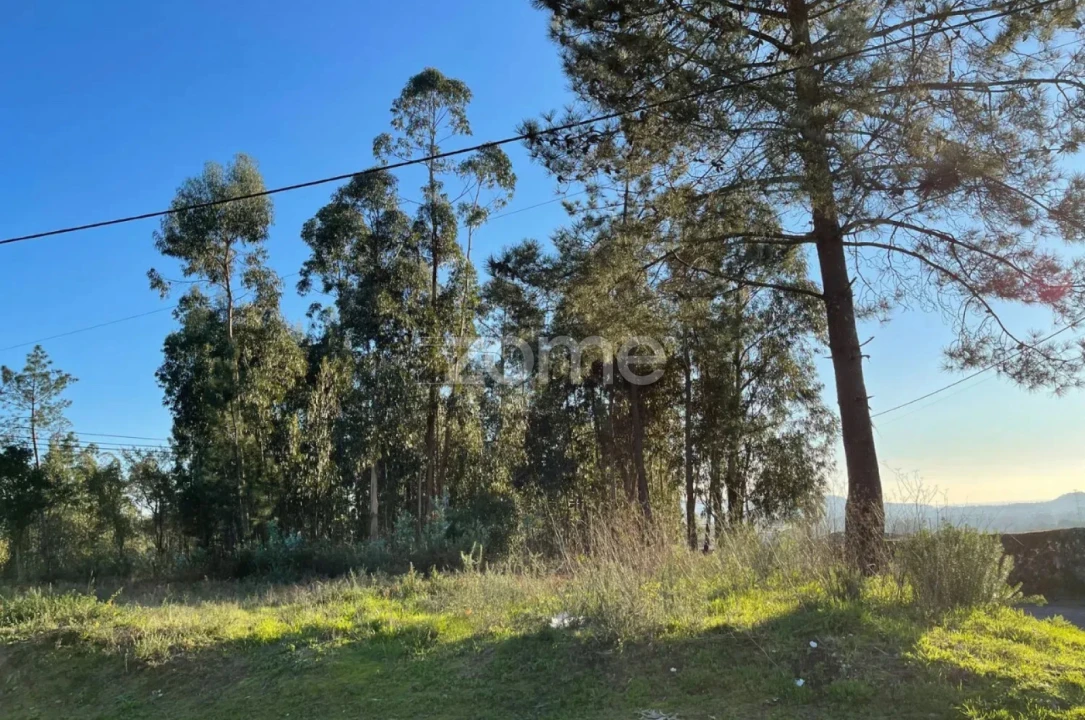 Terreno para Venda em Vila de Punhe Foto 16