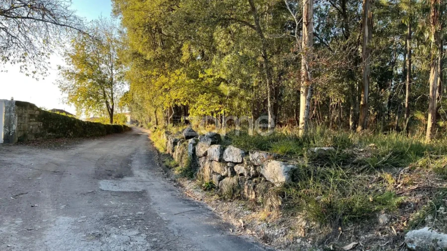 Terreno para Venda em Vila de Punhe