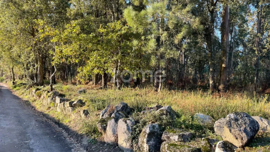 Terreno para Venda em Vila de Punhe