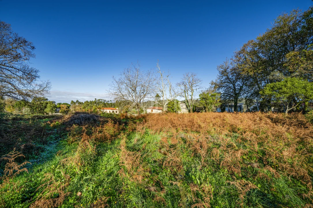 Terreno para Venda em Arentim e Cunha Foto 12