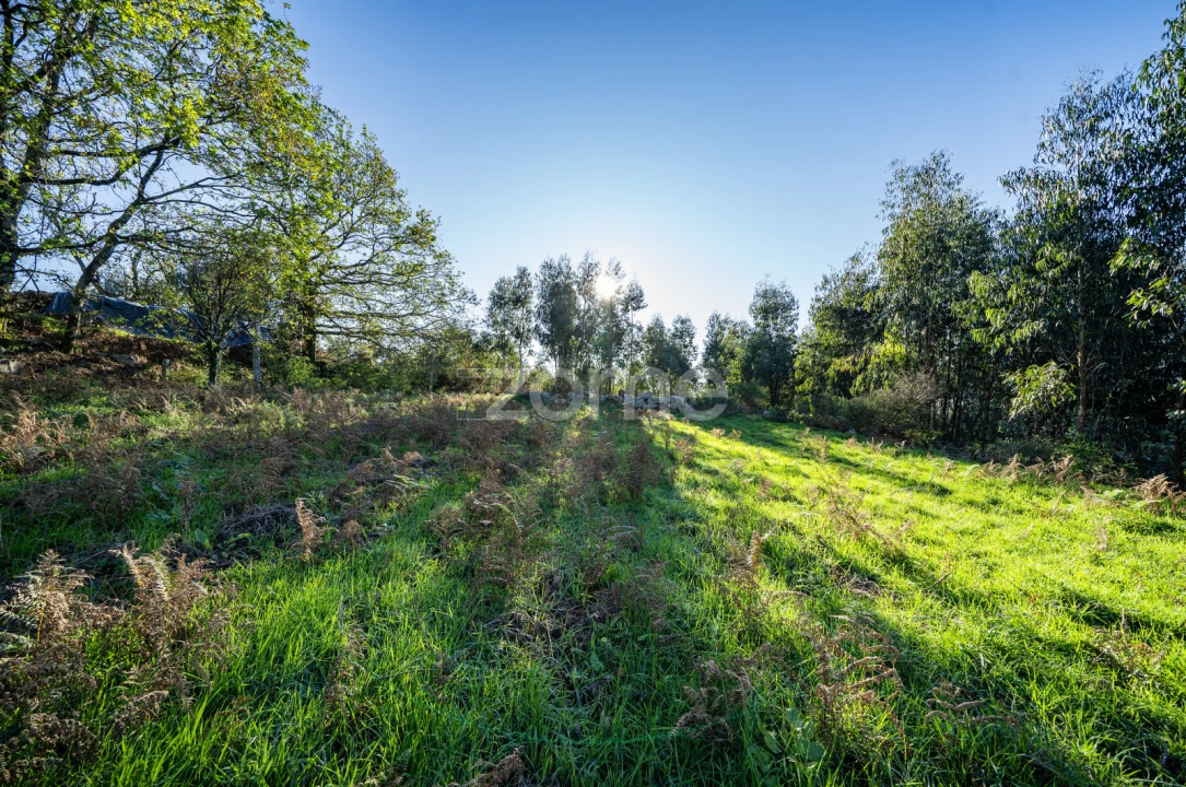 Terreno para Venda em Arentim e Cunha Foto 13