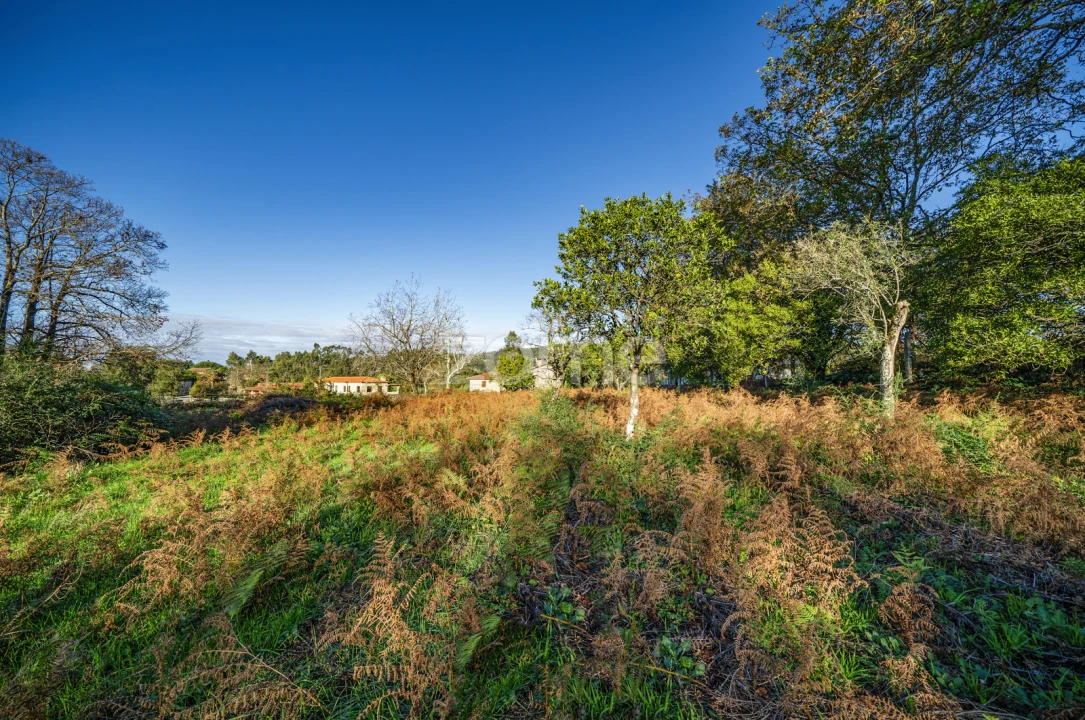 Terreno para Venda em Arentim e Cunha Foto 14