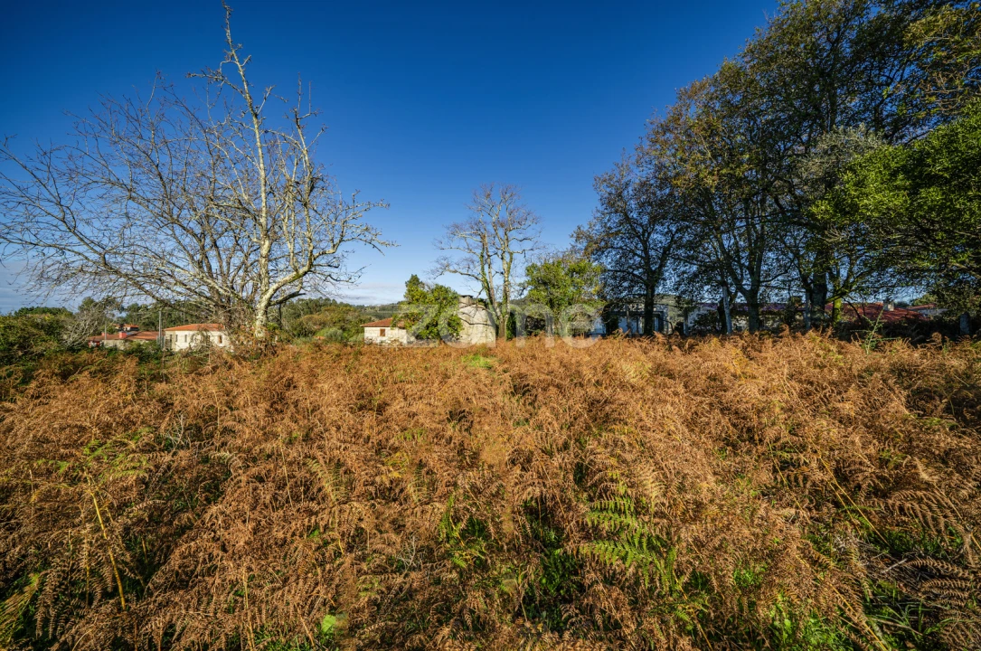 Terreno para Venda em Arentim e Cunha Foto 15