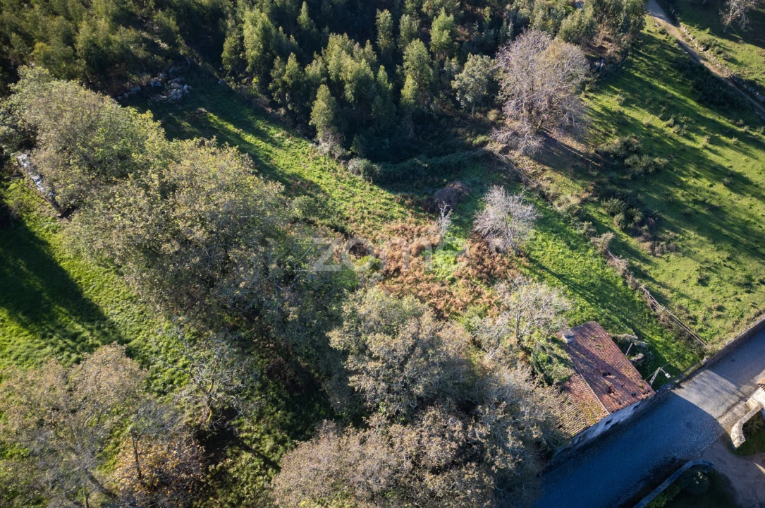 Terreno para Venda em Arentim e Cunha Foto 17