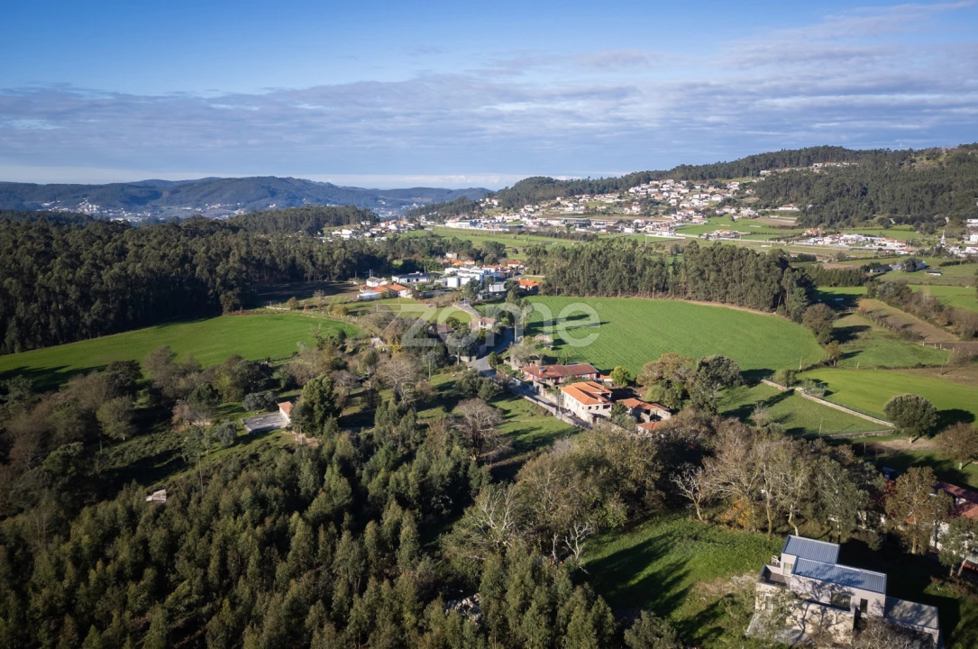 Terreno para Venda em Arentim e Cunha Foto 5