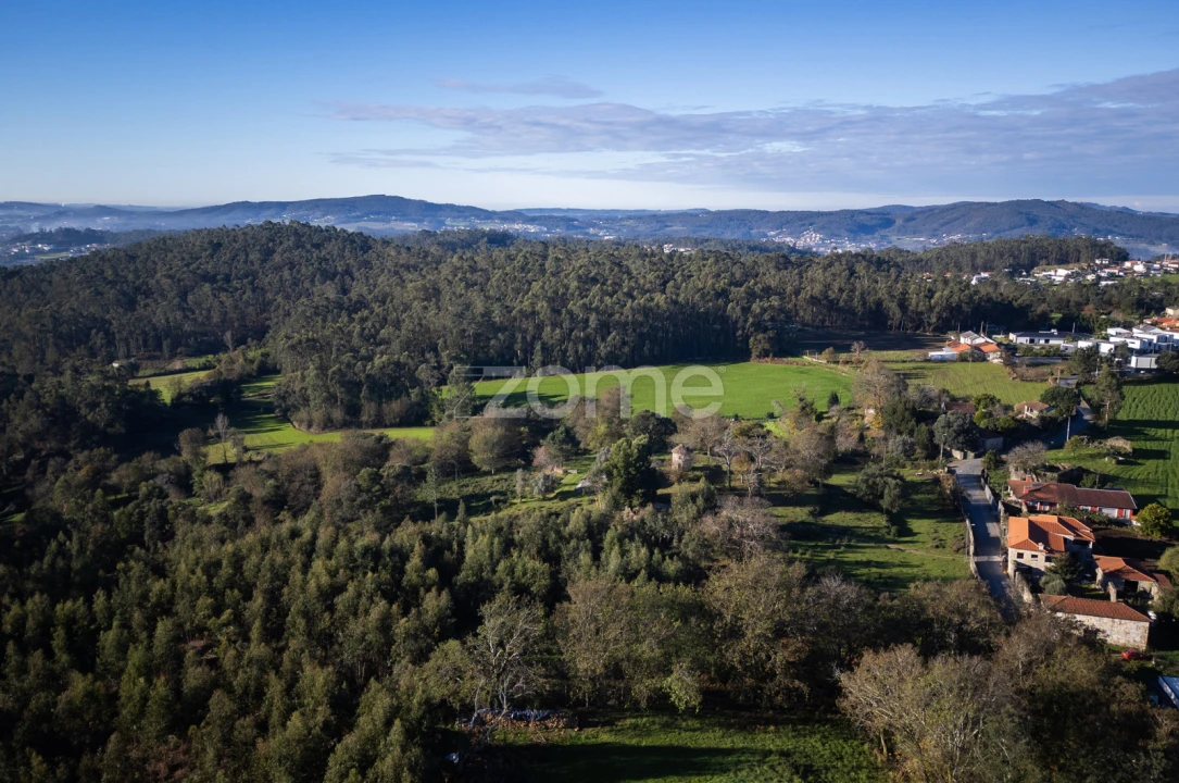 Terreno para Venda em Arentim e Cunha Foto 20
