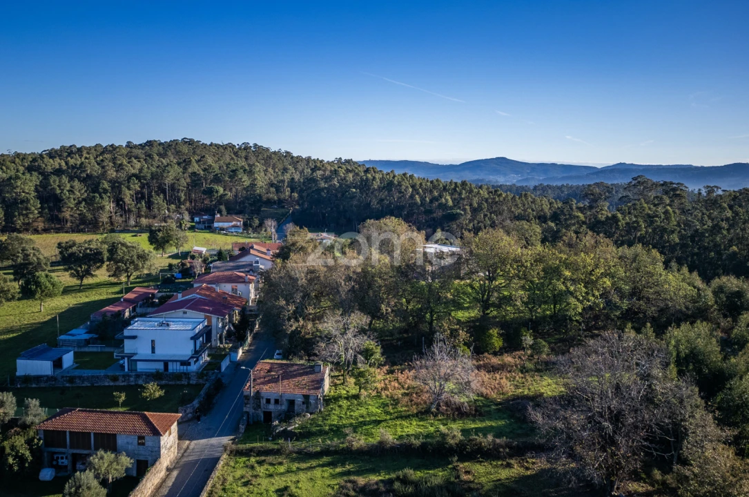 Terreno para Venda em Arentim e Cunha Foto 6