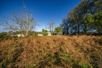 Terreno para Venda em Arentim e Cunha