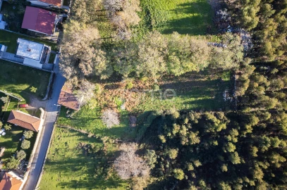 Terreno para Venda em Arentim e Cunha