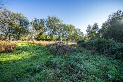 Terreno para Venda em Arentim e Cunha
