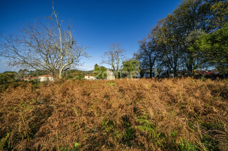 Terreno para Venda em Arentim e Cunha Foto 15