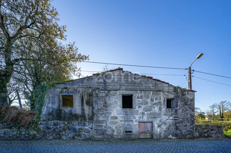 Terreno para Venda em Arentim e Cunha Foto 3