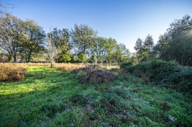 Terreno para Venda em Arentim e Cunha Foto 9