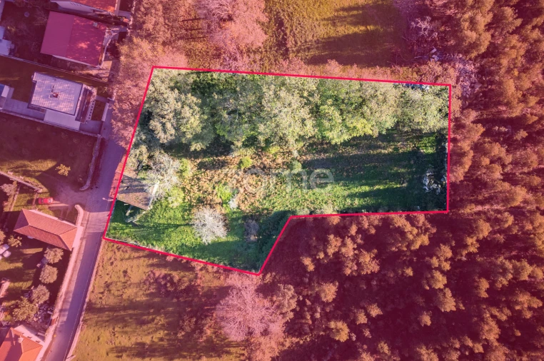 Terreno para Venda em Arentim e Cunha Planta 1