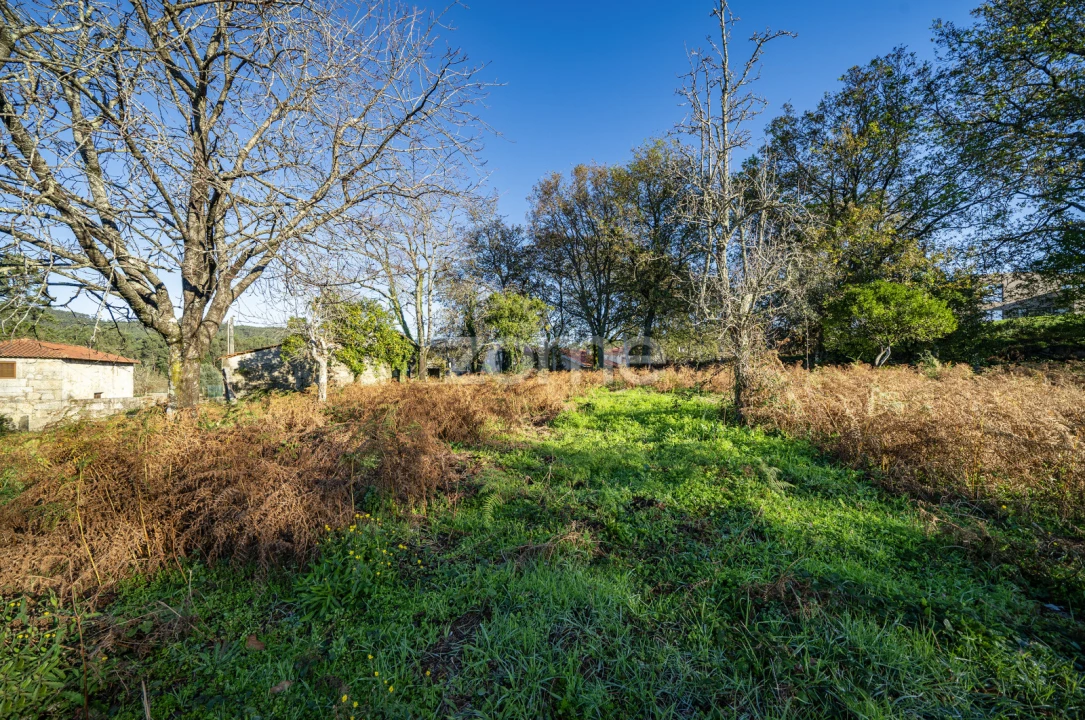 Terreno para Venda em Arentim e Cunha Foto 10