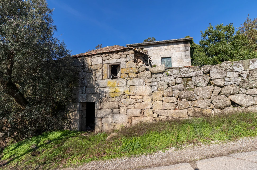 Quinta T13 para Venda em Loivos da Ribeira e Tresouras Foto 21