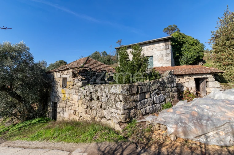 Quinta T13 para Venda em Loivos da Ribeira e Tresouras Foto 20