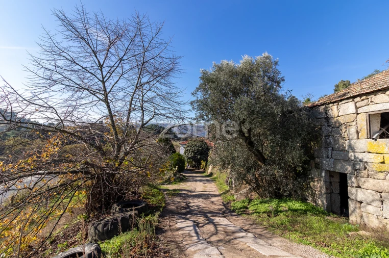 Quinta T13 para Venda em Loivos da Ribeira e Tresouras Foto 22