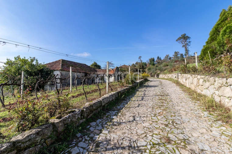 Quinta T13 para Venda em Loivos da Ribeira e Tresouras Foto 27