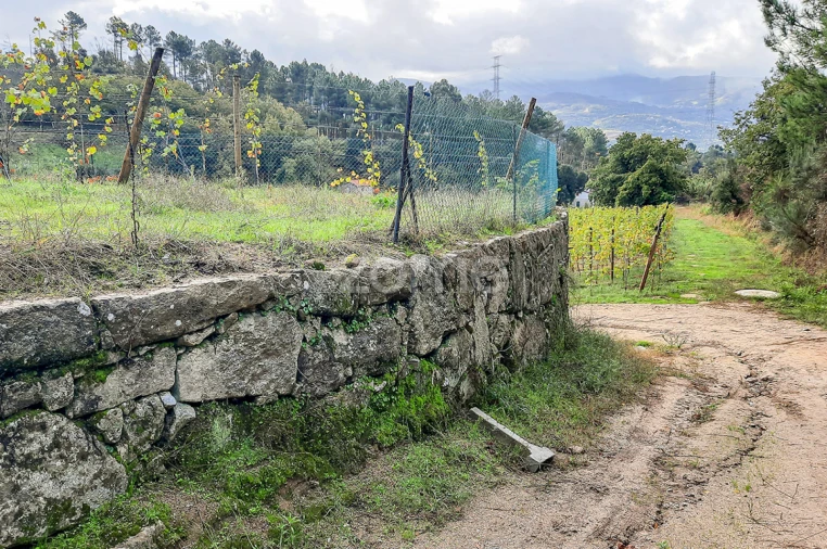 Quinta T13 para Venda em Loivos da Ribeira e Tresouras Foto 36