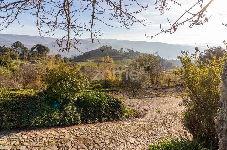 Quinta T13 para Venda em Loivos da Ribeira e Tresouras Foto 56