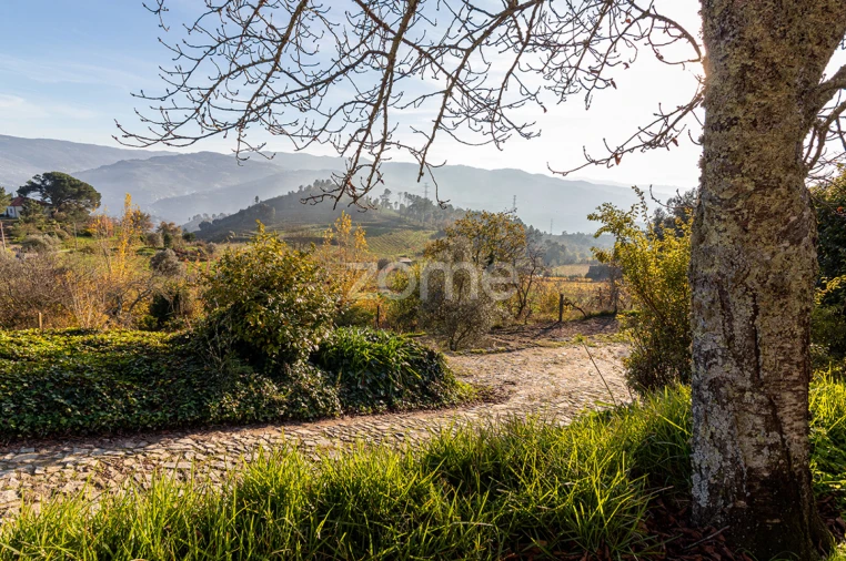 Quinta T13 para Venda em Loivos da Ribeira e Tresouras Foto 57