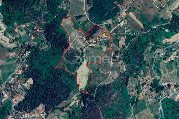 Quinta T13 para Venda em Loivos da Ribeira e Tresouras Foto 60