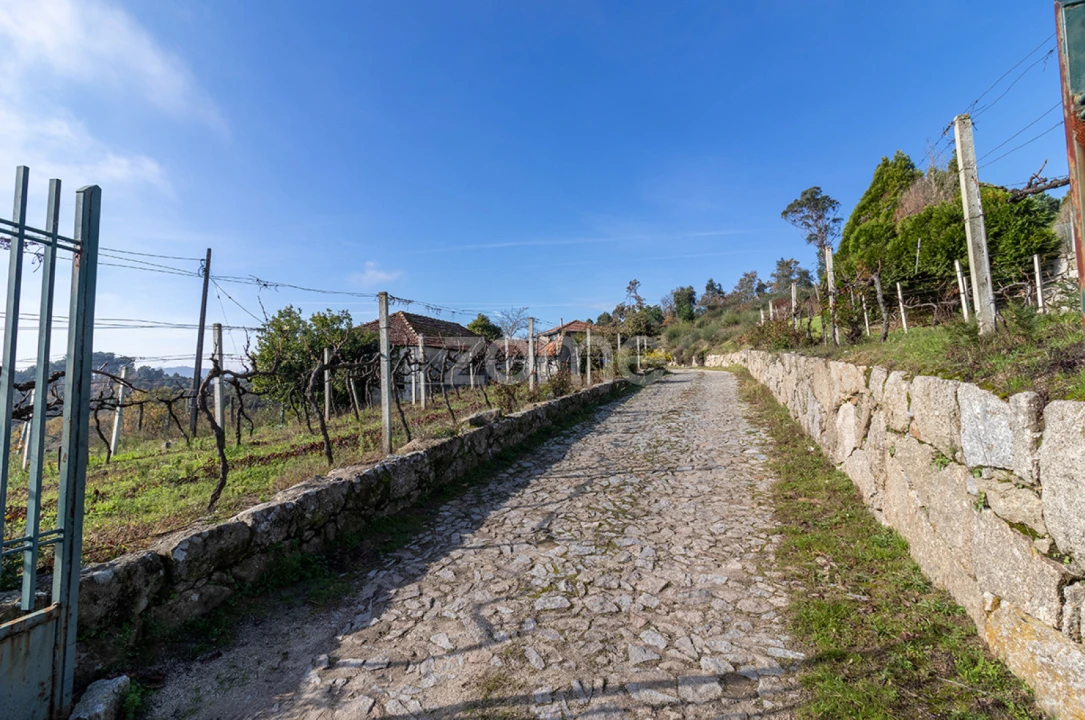 Quinta T13 para Venda em Loivos da Ribeira e Tresouras Foto 25