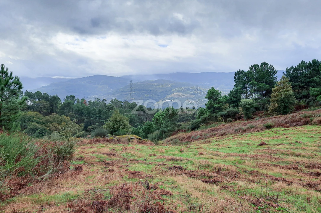 Quinta T13 para Venda em Loivos da Ribeira e Tresouras Foto 41
