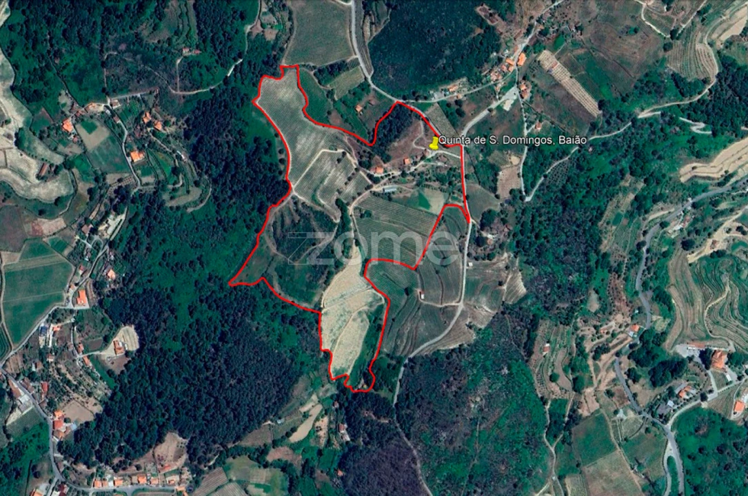 Quinta T13 para Venda em Loivos da Ribeira e Tresouras Foto 60