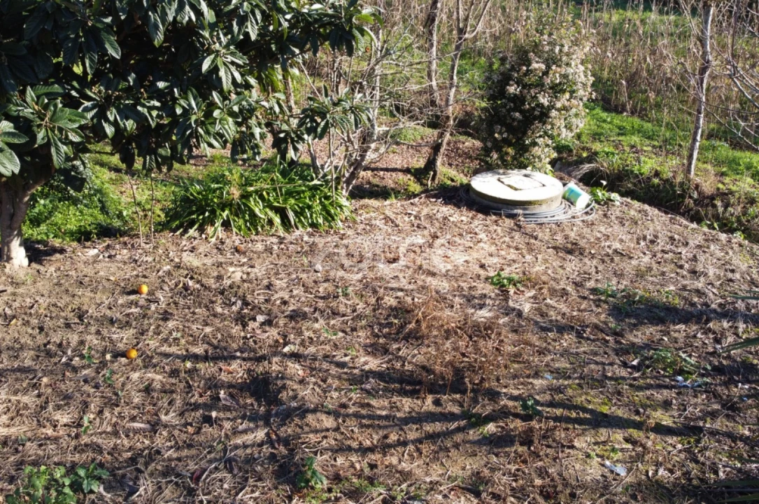 Terreno para Venda em Turiz Foto 10