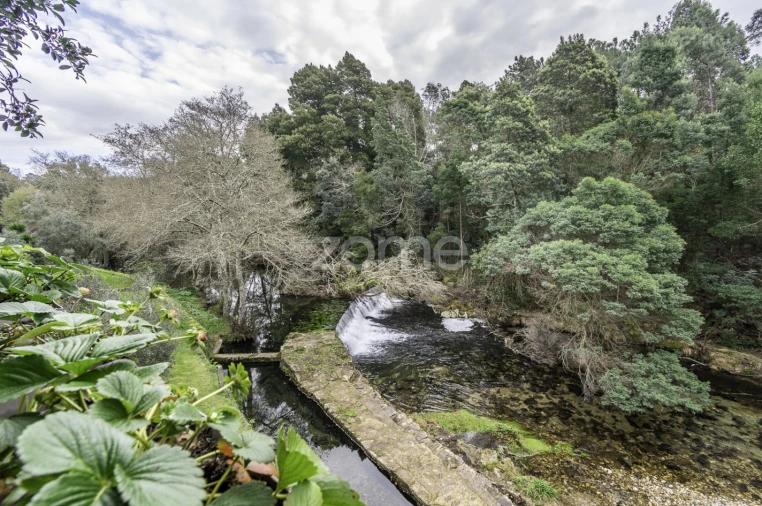 Quinta T7 para Venda em Freixieiro de Soutelo Foto 21