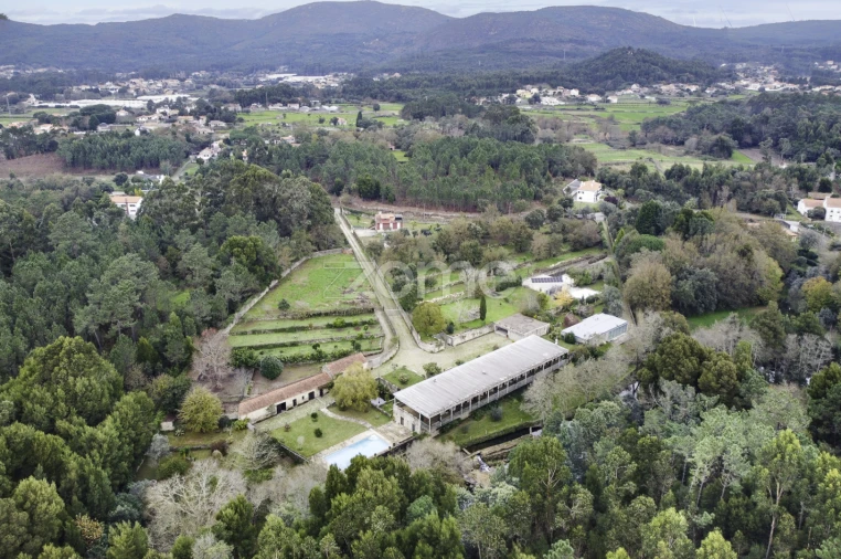 Quinta T7 para Venda em Freixieiro de Soutelo Foto 39