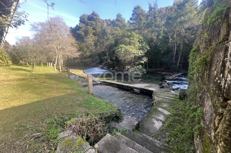Quinta T7 para Venda em Freixieiro de Soutelo Foto 1